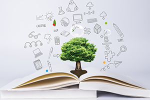 開設(shè)AP課程的國際學(xué)校這么多，到底好在哪？