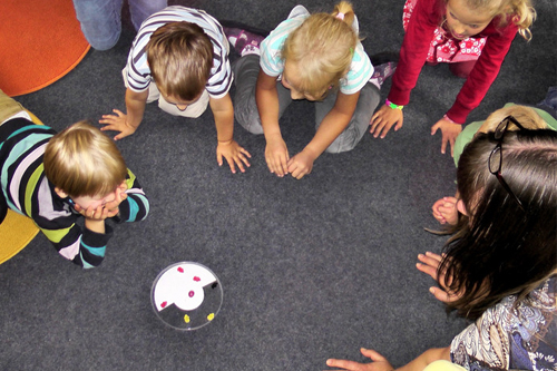 國際學(xué)校遍地開花