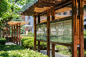 國(guó)際學(xué)校小、初、高不同階段入學(xué)，都有怎樣的影響？