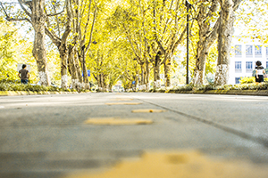 四川地區有哪些優質國際學校可以選擇？