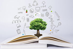 2020年國際學校家長收藏！今年下半年A-Level、IB、AP考試完整時間軸！